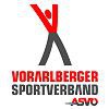 VSV Logo100x100